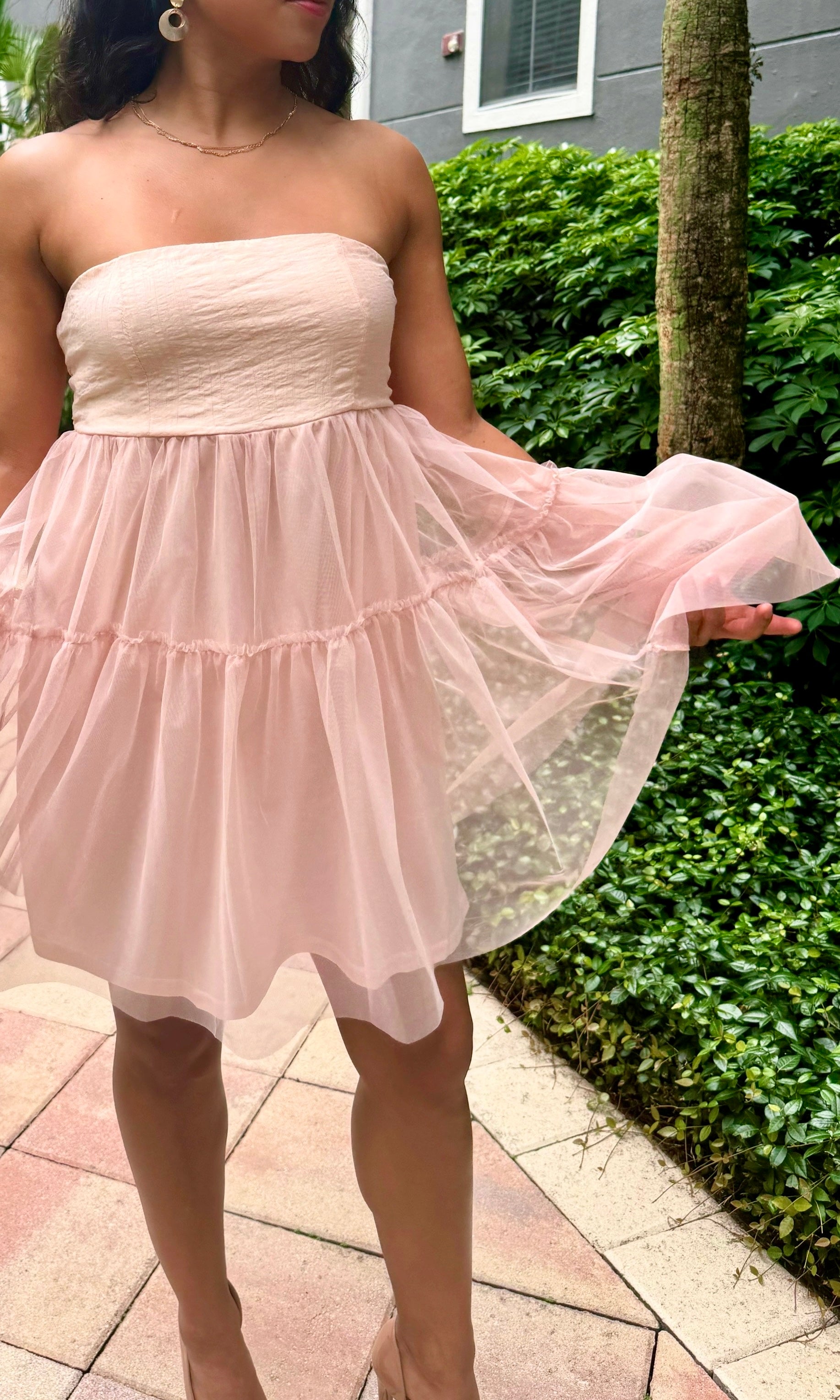 Listicle Tulle Mesh Tube Mini Dress