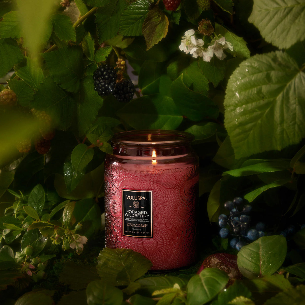 Foraged Wildberry 18oz Jar