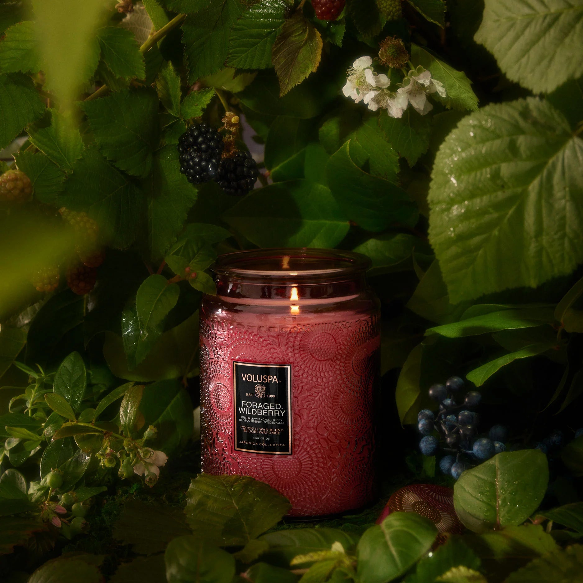 Foraged Wildberry 18oz Jar