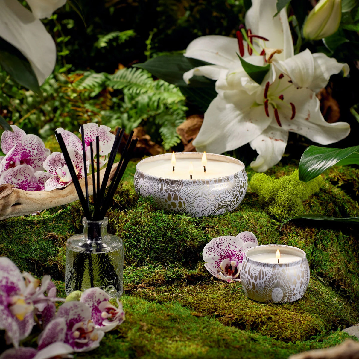 Mokara 3 Wick Candle